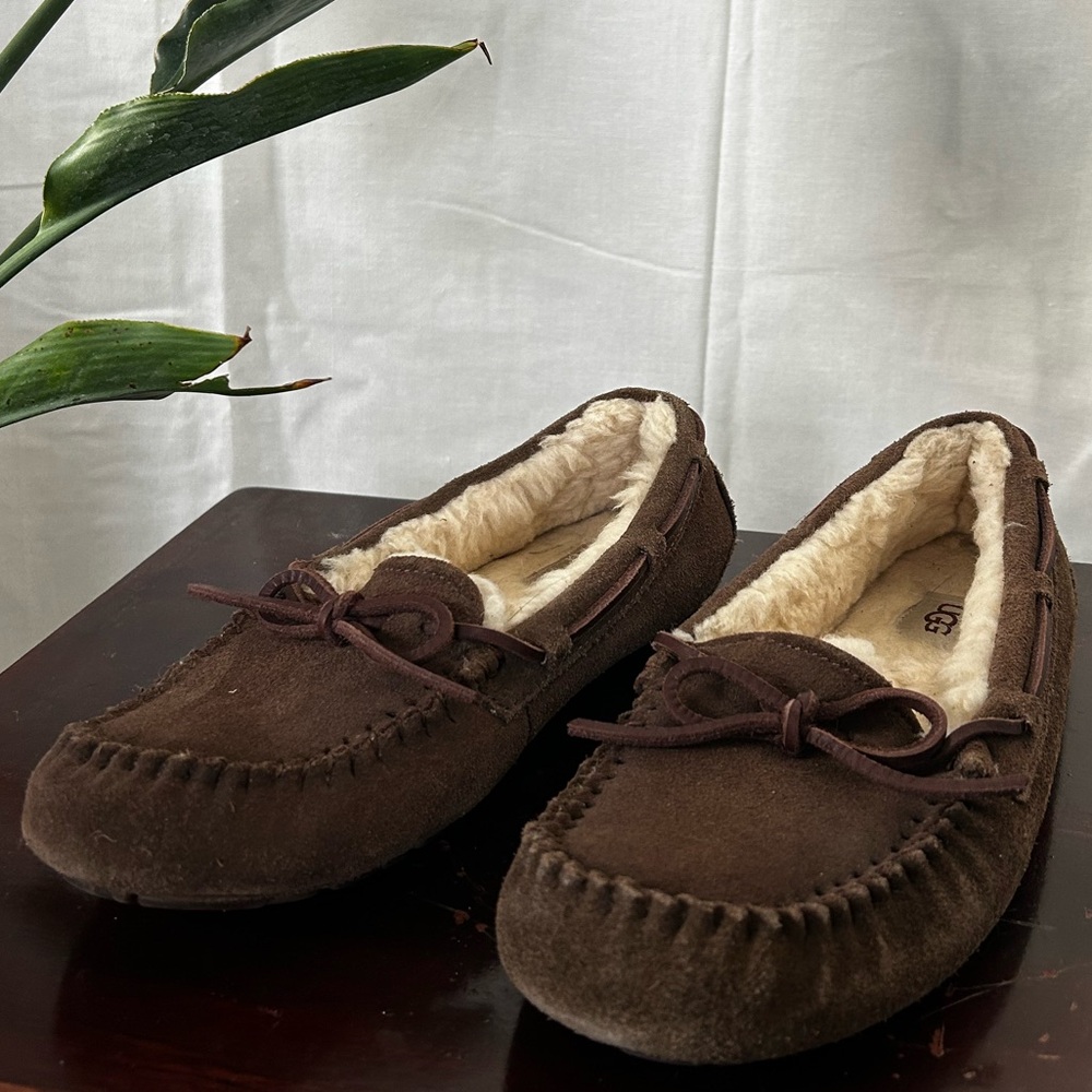 Dakota Moc | Espresso